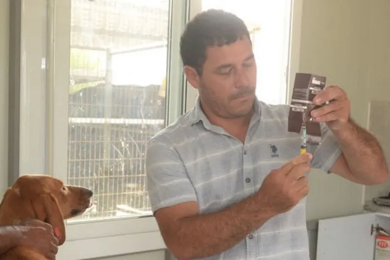 Gönyeli-Alayköy ile NETAP’ın iş birliğinde kısırlaştırma çalışmaları başladı
